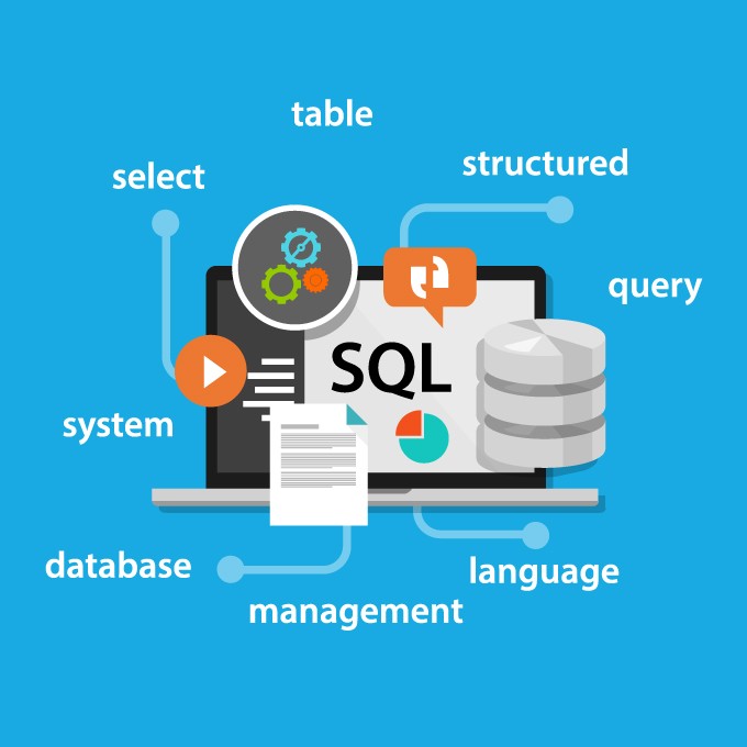 SQL Database Management (2 Months)